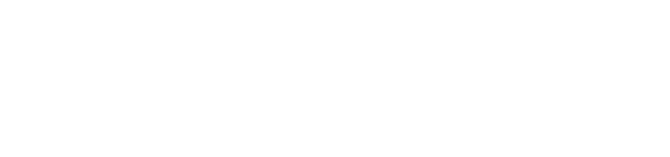 Trendhim Accessories logo
